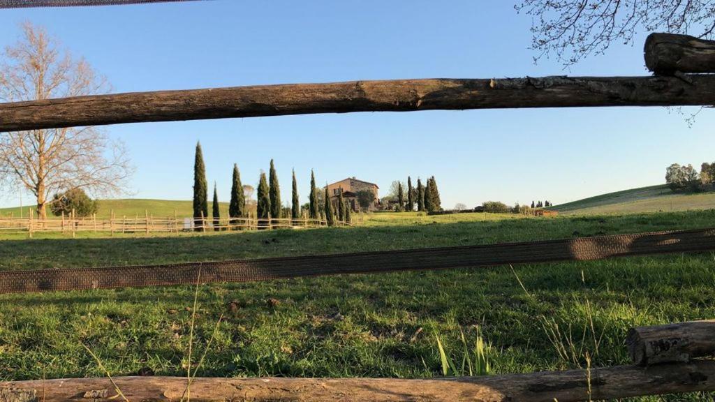 Casale Del Sole Castellina Marittima