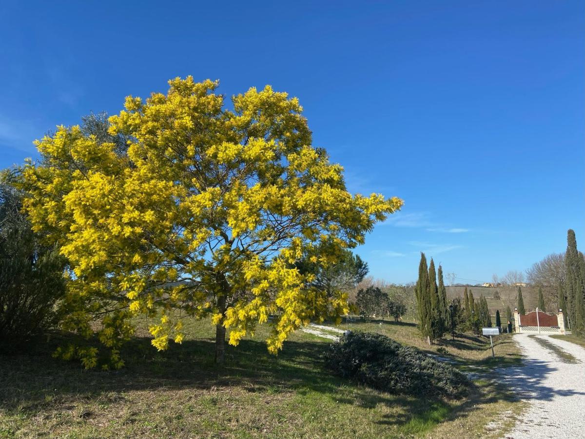 Bed & Breakfast Casale Del Sole