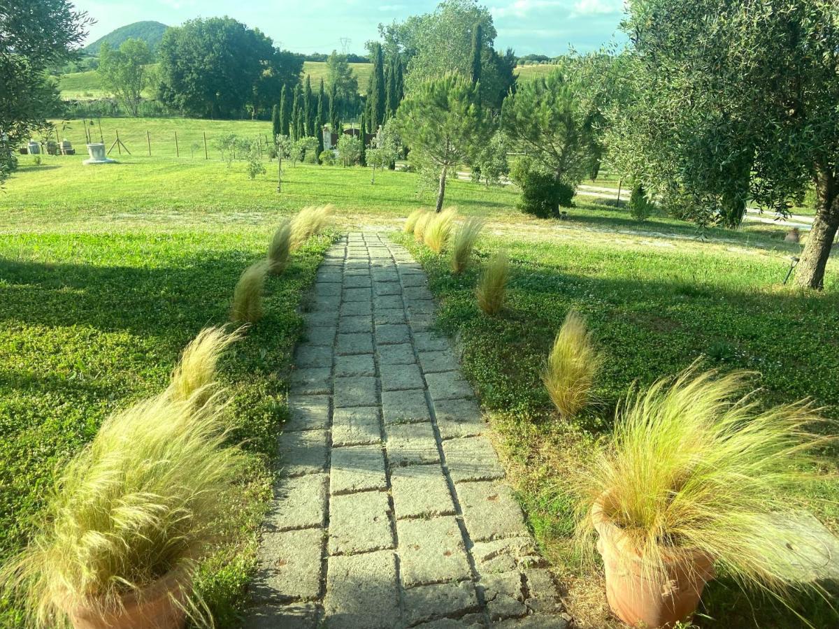 Bed & Breakfast Casale Del Sole